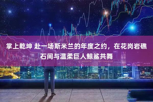 掌上乾坤 赴一场斯米兰的年度之约，在花岗岩礁石间与温柔巨人鲸鲨共舞
