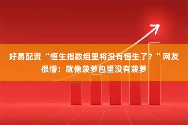 好易配资 “恒生指数组里将没有恒生了？”网友很懵：就像菠萝包里没有菠萝