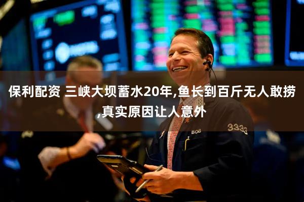 保利配资 三峡大坝蓄水20年,鱼长到百斤无人敢捞,真实原因让人意外
